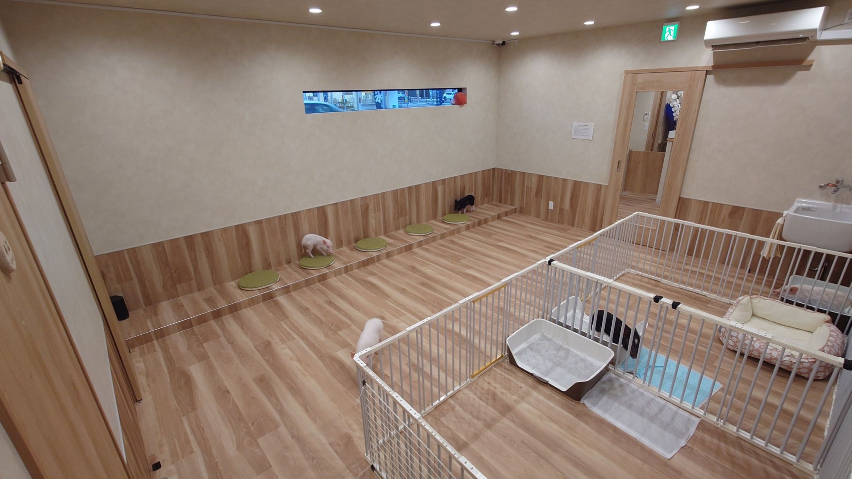 店内のようす 1